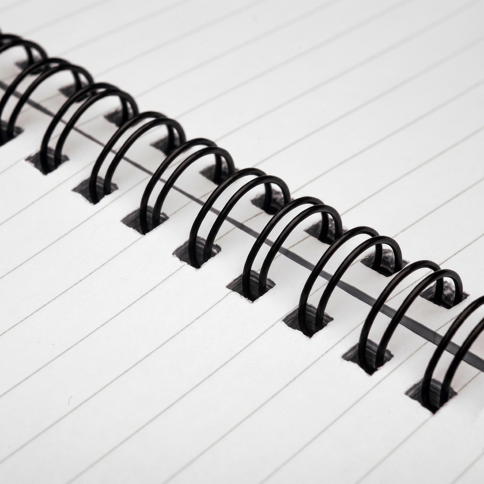 Spiral Notebook - Ruled Line Görsel 2